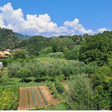 Апартаменты La Locanda Di Nonna Jolanda Борго-а-Моццано Экстерьер фото