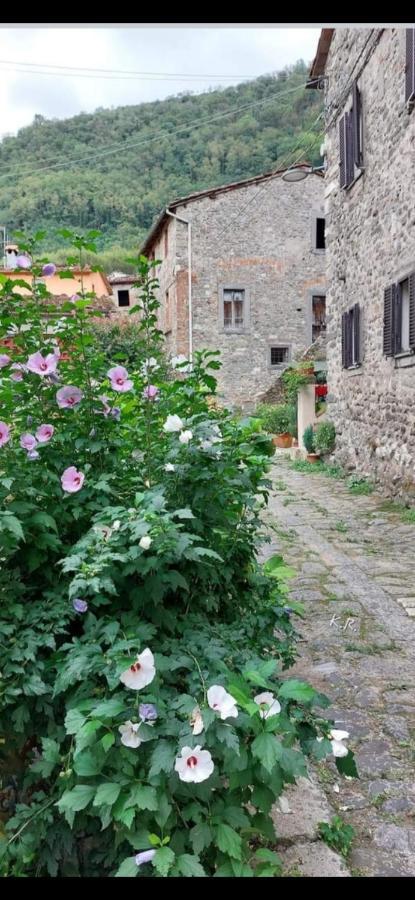 Апартаменты La Locanda Di Nonna Jolanda Борго-а-Моццано Экстерьер фото